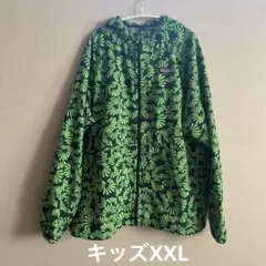 patagonia マウンテンパーカー