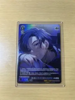 2026年最新】ヴァイスシュヴァルツ サイン プロセカの人気アイテム