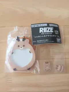 RIIZE ソンチャン　ガチャ　シャカシャカアクリルチャーム