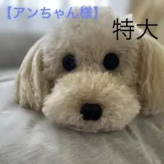 アンちゃん様　トイプードル編みぐるみ 【特大】伏せポーズ　淡いアプリコット アンちゃん様 トイプードル編みぐるみ 【特大】伏せポーズ 淡い
