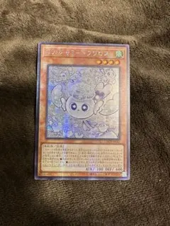 マルチャミー・フワロス　シークレット　アジア