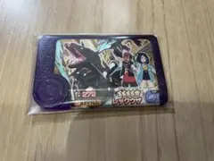 ポケモンフレンダ　スーパートレジャー　レックウザ　黒　六英雄