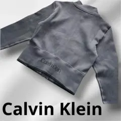 Calvin Klein ジップアップ パーカートレーナー　ロゴ　Y2K