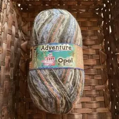 ⭐︎ 1863 OPAL オパール海外ソックヤーン　中細