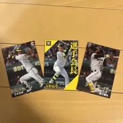 カルビー プロ野球 トレーディングカード 3枚セット
