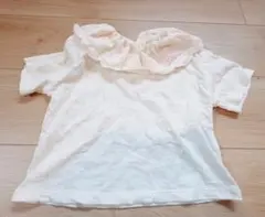 NEXT♡襟付き半袖Tシャツ