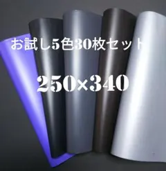 Item thumbnail for item c918bf3b-cacb-4d24-a464-9061e8284444