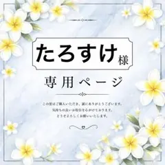 たろすけ様専用 合計10個 在庫確認しますのサムネイル