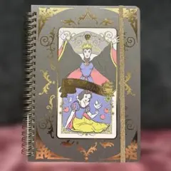 ディズニー　白雪姫　ヴィランズ　マレフィセント　ノート　A 5