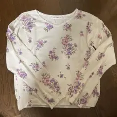 Item thumbnail for item 9e3e0423-9d17-4520-a519-e889a17b8430