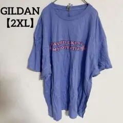 ✨一点限り✨GILDAN 【2XL】ライトブルー Tシャツ 半袖　トップス