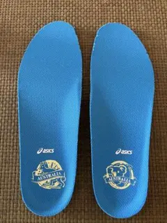 アシックス　テニス用　インソール 【新品未使用】24.5cm オーストラリアン