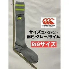 Item thumbnail for item 496818ab-95ec-4cd4-9368-04ce9c94d19a