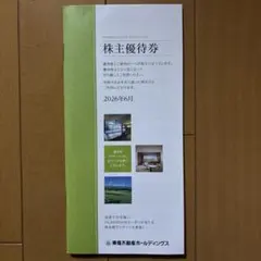 東急不動産ホールディングス 株主優待券 2027年1月末までのサムネイル