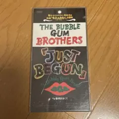 THE BUBBLE GUM BROTHERS 「JUST BEGUN」