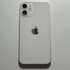 Apple純正 iPhone 12 mini ホワイト バックパネル 背面