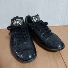 Item thumbnail for item 5d3fec4f-1a53-4693-b84e-8a9d23f7fc38