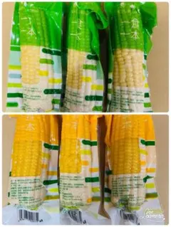 黄糯玉米(黄とうもろこし）40本セット賞味期限2025年3月15日