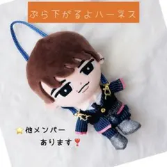 ⭕️即購入可/すのチルぶら下がらないシリーズ BIGぬいぐるみ♡紛失
