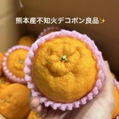 熊本産紅色不知火デコポン良品 熊本紅色不知火デコポン 良品 - メルカリ