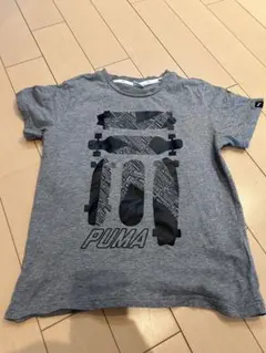 プーマ子供Tシャツ150センチ