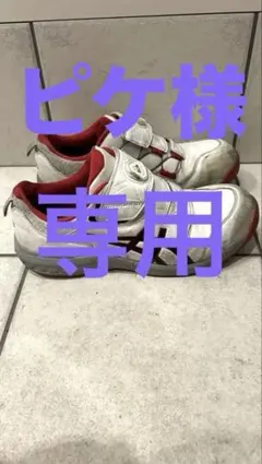 Item thumbnail for item ec4a3354-5d4f-474f-afed-400110a4e80c