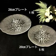 HOYAクリスタル『霜華』　26㎝プレートx1枚20㎝プレートx 5枚のサムネイル
