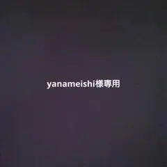 yanameishi様専用