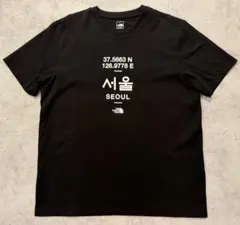 THE NORTH FACE 韓国限定 SEOUL Tシャツ XL 105