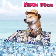 Item thumbnail for item d7c3a40e-734f-44ca-a1dc-906b6d6a8d87