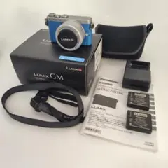 2026年最新】lumix gm1 12-32の人気アイテム - メルカリ