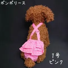 ポンポリース 1号　ダイパー型サニタリーパンツ　ティアード付ドット / ピンクのサムネイル