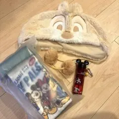 【美品】42%OFF⭐︎TDL/TDSセット♡(ポップコーンケース他)