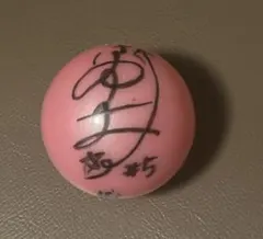 Item thumbnail for item 873244e0-576c-4f75-96b4-b560d22c8352