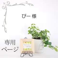 ぴー様 リクエスト 2点 まとめ商品