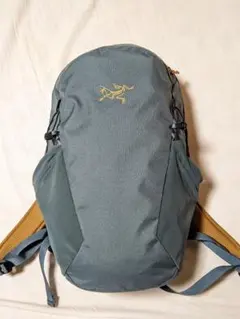 2026年最新】ARC'TERYX カラー：グリーン系 メンズ リュック・バック