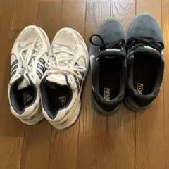 Item thumbnail for item 1c2ea519-ca82-43d6-aef6-c9f61ea6c493