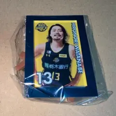 宇都宮ブレックス　渡邉選手 ミニチュアアートイーゼル