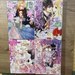 TL小説4冊セット まとめ売り - メルカリ
