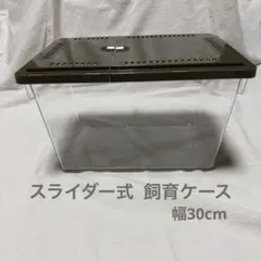 スライダー式飼育ケース 2個セット - メルカリ