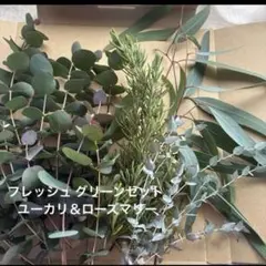 フレッシュ グリーンセット ユーカリ(細葉、ムーンラグーン)＆ローズ