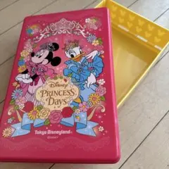 ディズニーランド プリンセスデイズ ランチボックス スーベニア 非売品 折り畳み
