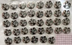 呪術廻戦 ジャンプGIGA summer 全サ 缶バッジ