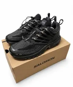 salomon acs pro 美品　xt-6 mm6 GORE-TEXのサムネイル