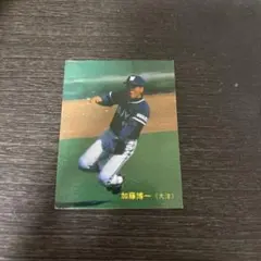 花*マ様 加藤博一さん本人使用 横浜大洋ホエールズハタケヤマGUTS 44 青色 2026年最新】加藤博一の人気アイテム - メルカリ