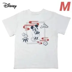 Item thumbnail for item 8066adf3-867b-4010-a5e7-6c46e50d3b19