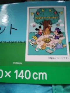 しまむら ディズニー ミッキーミニー 洗える肌掛けふとん 接触冷感