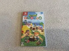 あつまれ どうぶつの森 Nintendo Switch