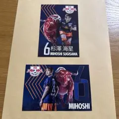 RB 大宮アルディージャWOMEN 杉澤海星 ポストカード 2枚セット