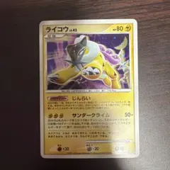 ライコウ LV.42 DPBP#293 ⑤のサムネイル
